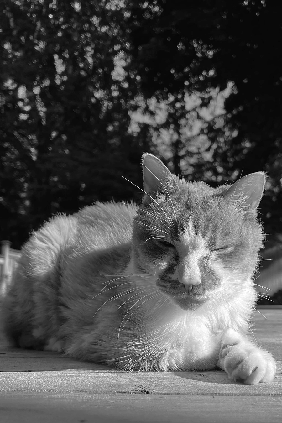 Billy